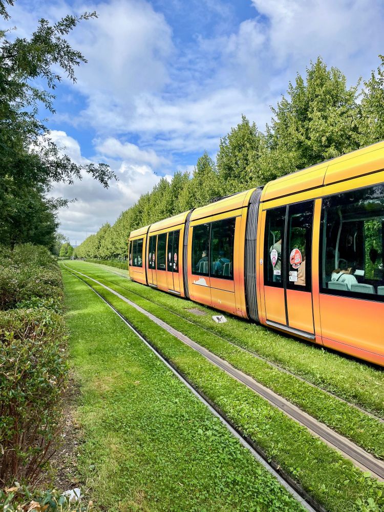 Various photos of colourful trams moving along grassy streets lined with trees and vegetation in Reims, France.