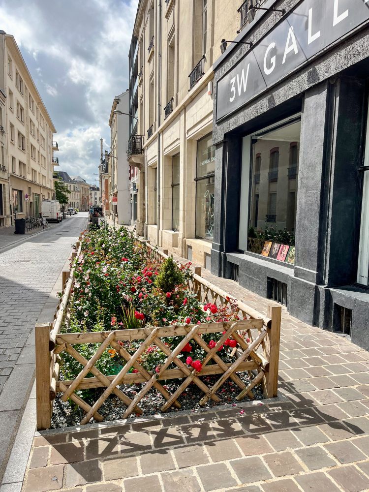 A variety of former on-street car parking spaces in the French city of Reims that have been repurposed into small pocket parks of green space containing plants, trees, and flowers.