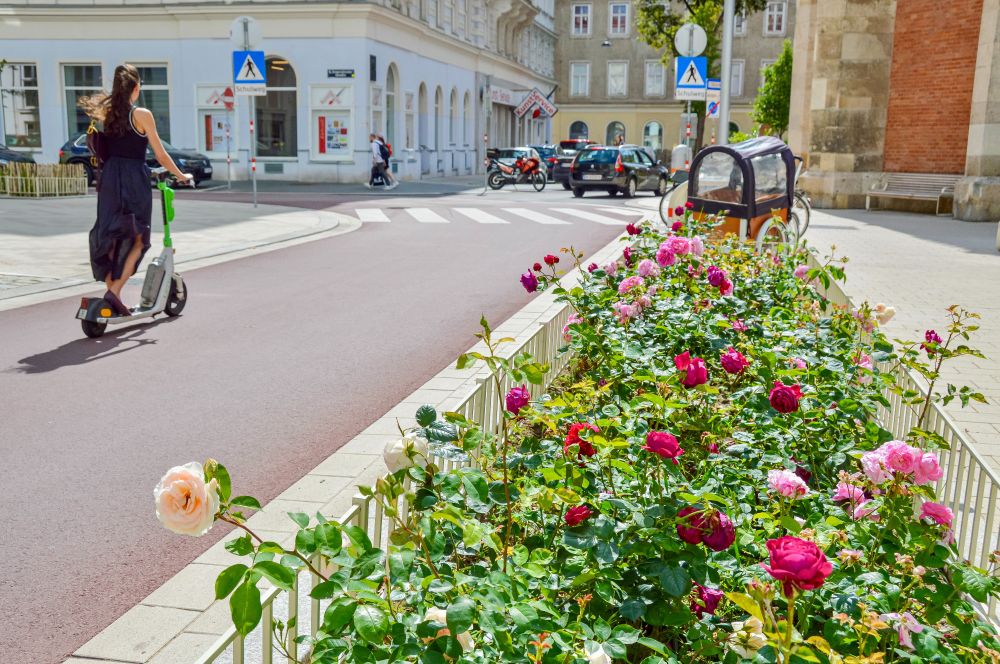 People in casual spring attire cycle on Argentinierstraße in Vienna—a red asphalt “bicycle street” lined with four-storey buildings, trees and plants, and wooden benches. 