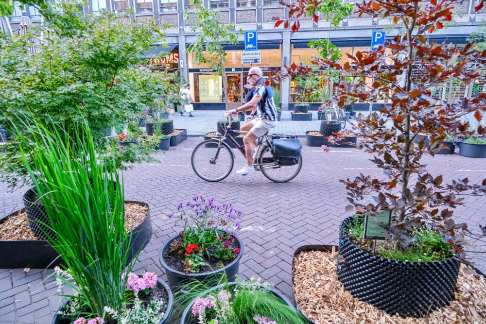 People walk, cycle, sit, and dine along a temporarily car-free stretch of Meent in Rotterdam, which is lined with retail shopfronts, planter boxes filled with trees and flowers, terraces, bike parking, and benches.