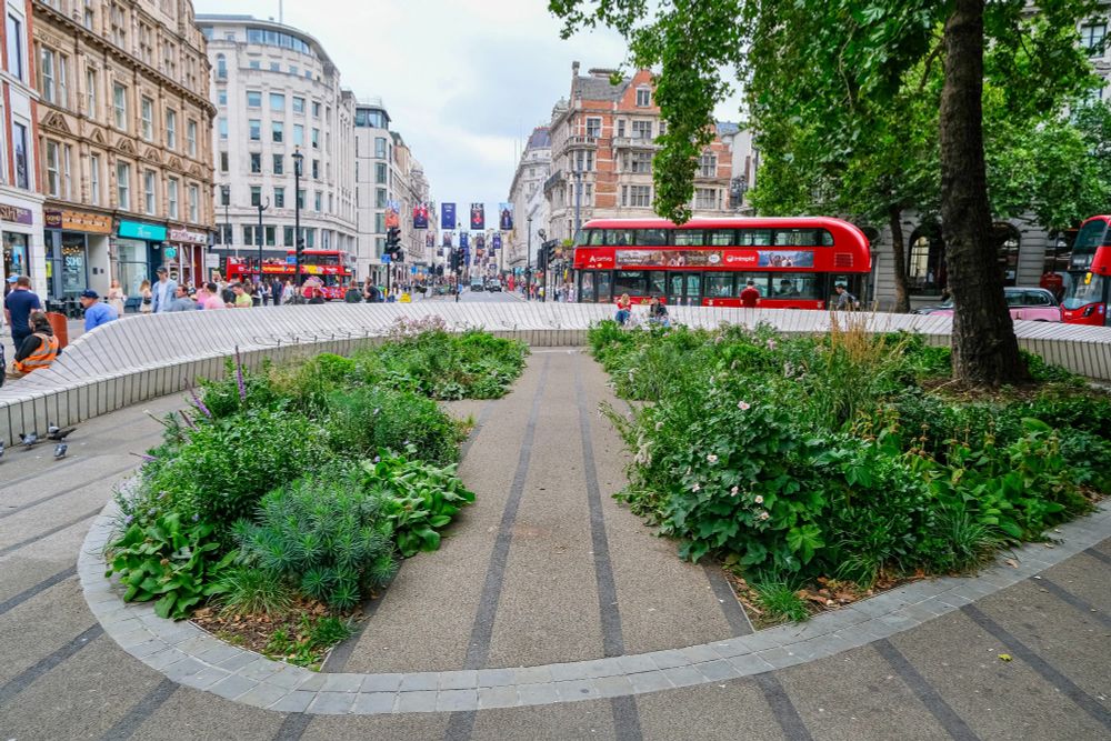People of all ages and abilities walk, cycle, sit, and socialise on the Strand Aldwych—a former arterial turned pedestrian zone in London, which is lined with buildings, trees, flowers and plantings, benches, and terraces.