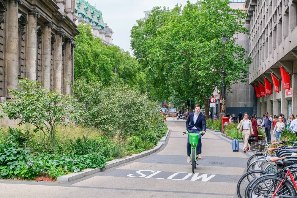 People of all ages and abilities walk, cycle, sit, and socialise on the Strand Aldwych—a former arterial turned pedestrian zone in London, which is lined with buildings, trees, flowers and plantings, benches, and terraces.