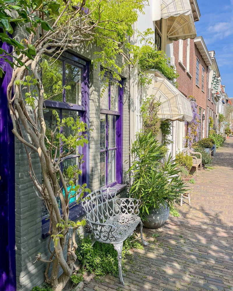 A brick residential street in Delft lined with trees, benches, bike parking, and low-rise brick and wooden buildings. The first storey of many of these buildings is covered with climbing plants and flowers.