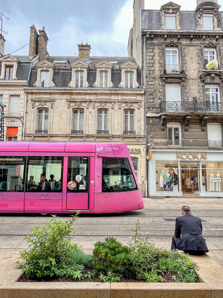 A variety of former on-street car parking spaces in the French city of Reims that have been repurposed into small pocket parks of green space containing plants, trees, and flowers.