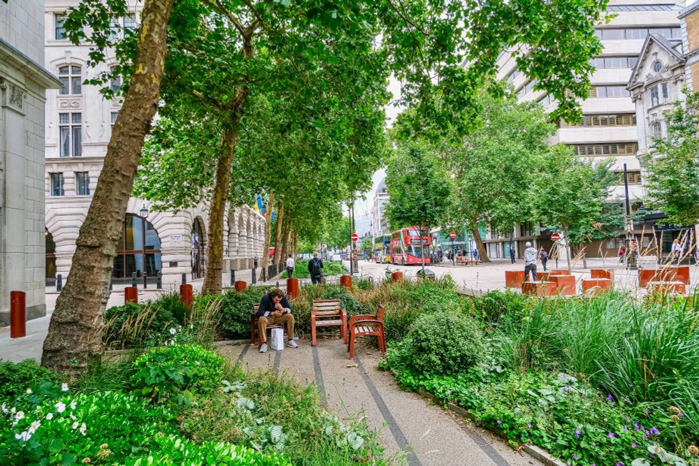 People of all ages and abilities walk, cycle, sit, and socialise on the Strand Aldwych—a former arterial turned pedestrian zone in London, which is lined with buildings, trees, flowers and plantings, benches, and terraces.