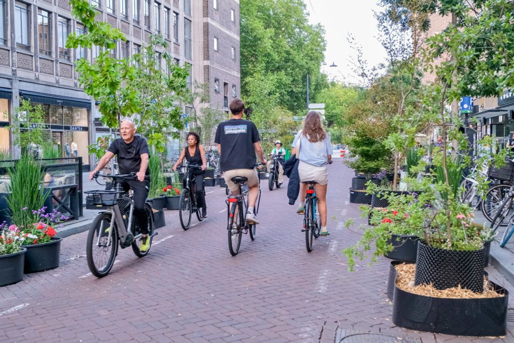 People walk, cycle, sit, and dine along a temporarily car-free stretch of Meent in Rotterdam, which is lined with retail shopfronts, planter boxes filled with trees and flowers, terraces, bike parking, and benches.