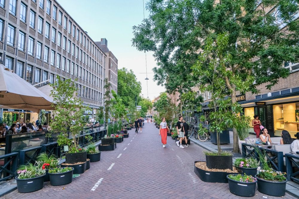 People walk, cycle, sit, and dine along a temporarily car-free stretch of Meent in Rotterdam, which is lined with retail shopfronts, planter boxes filled with trees and flowers, terraces, bike parking, and benches.