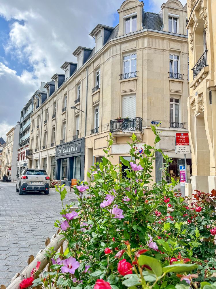 A variety of former on-street car parking spaces in the French city of Reims that have been repurposed into small pocket parks of green space containing plants, trees, and flowers.