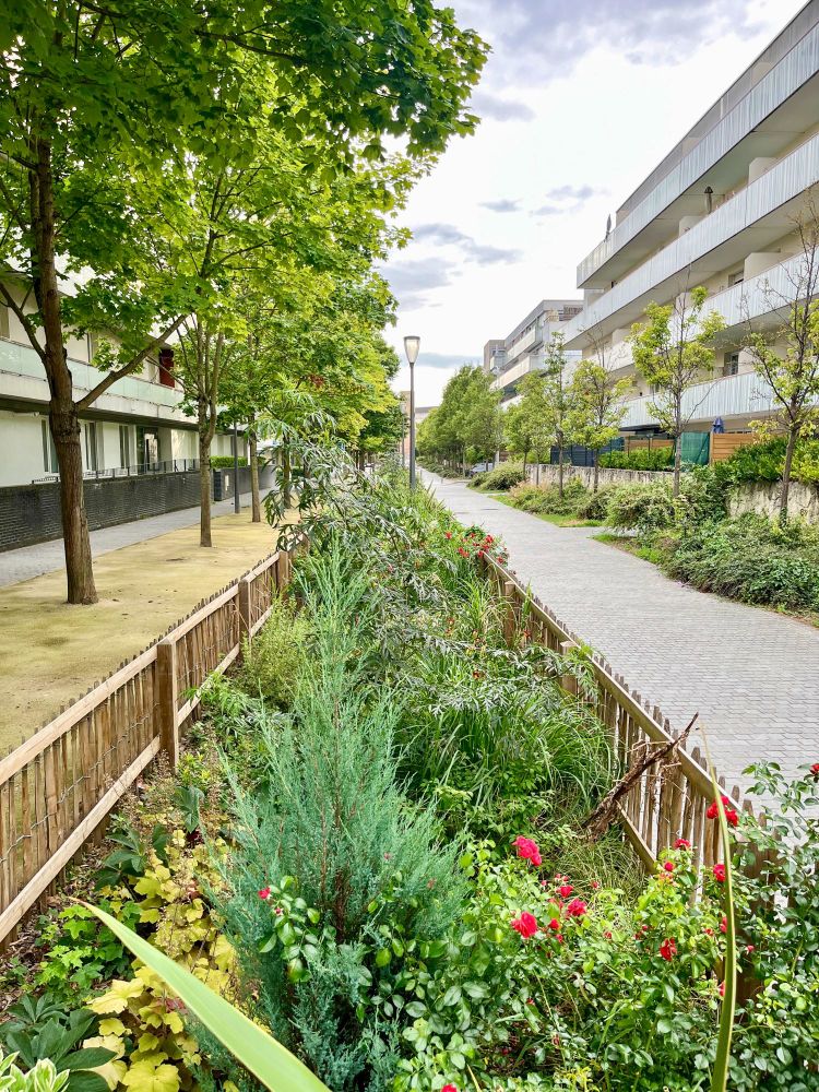 A variety of former on-street car parking spaces in the French city of Reims that have been repurposed into small pocket parks of green space containing plants, trees, and flowers.