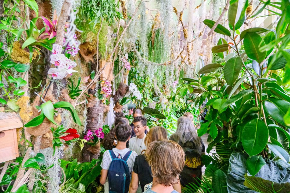 Photographs of “From Paris to Belém”, an interactive visual exhibition celebrating a decade of urban transformation in the fight against climate change, which is being curated by the City of Paris in the Hôtel de Ville.