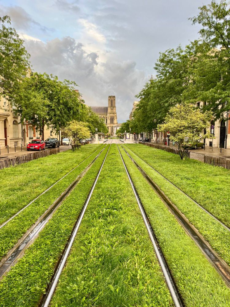 Various photos of colourful trams moving along grassy streets lined with trees and vegetation in Reims, France.