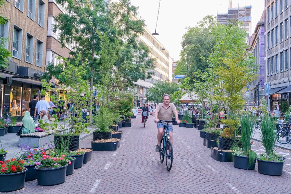 People walk, cycle, sit, and dine along a temporarily car-free stretch of Meent in Rotterdam, which is lined with retail shopfronts, planter boxes filled with trees and flowers, terraces, bike parking, and benches.