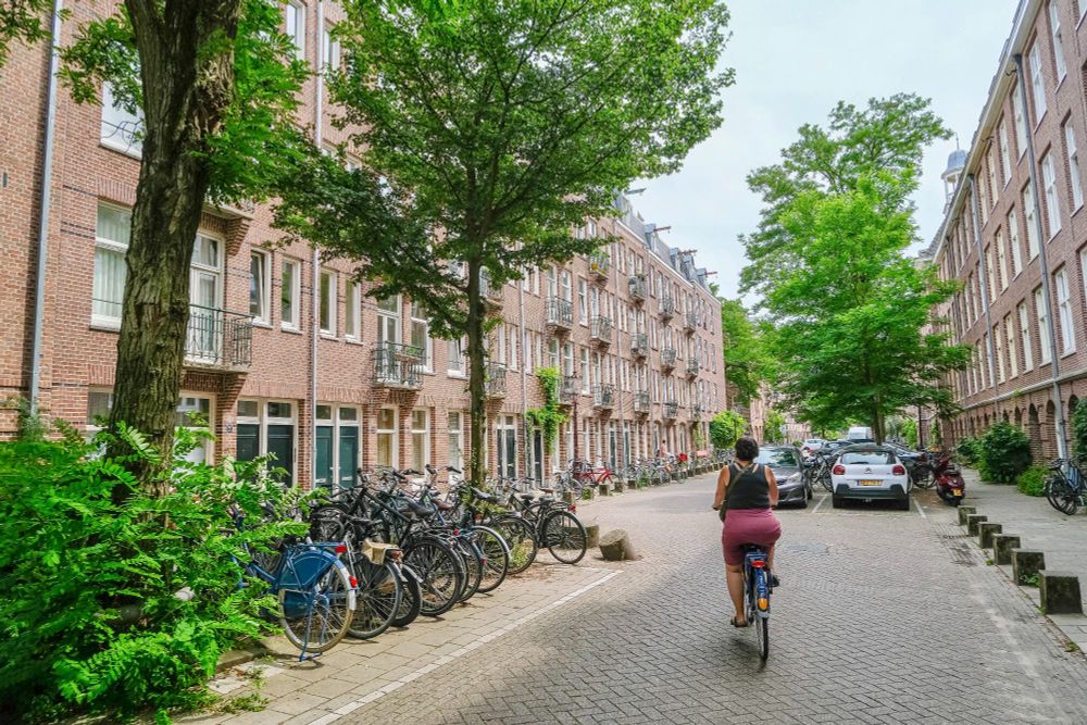 People of all ages and abilities walk, cycle, and drive along the low-traffic streets of Amsterdam, which are lined with buildings, trees, bike infrastructure, and prominent 30 km/hr signage.