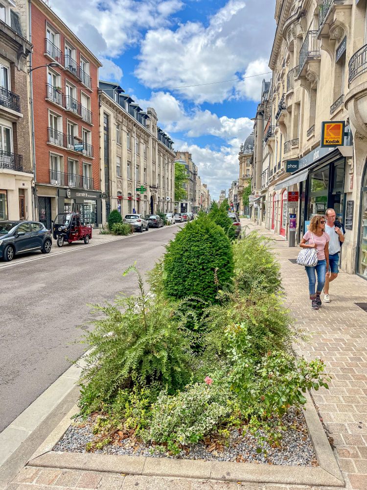 A variety of former on-street car parking spaces in the French city of Reims that have been repurposed into small pocket parks of green space containing plants, trees, and flowers.