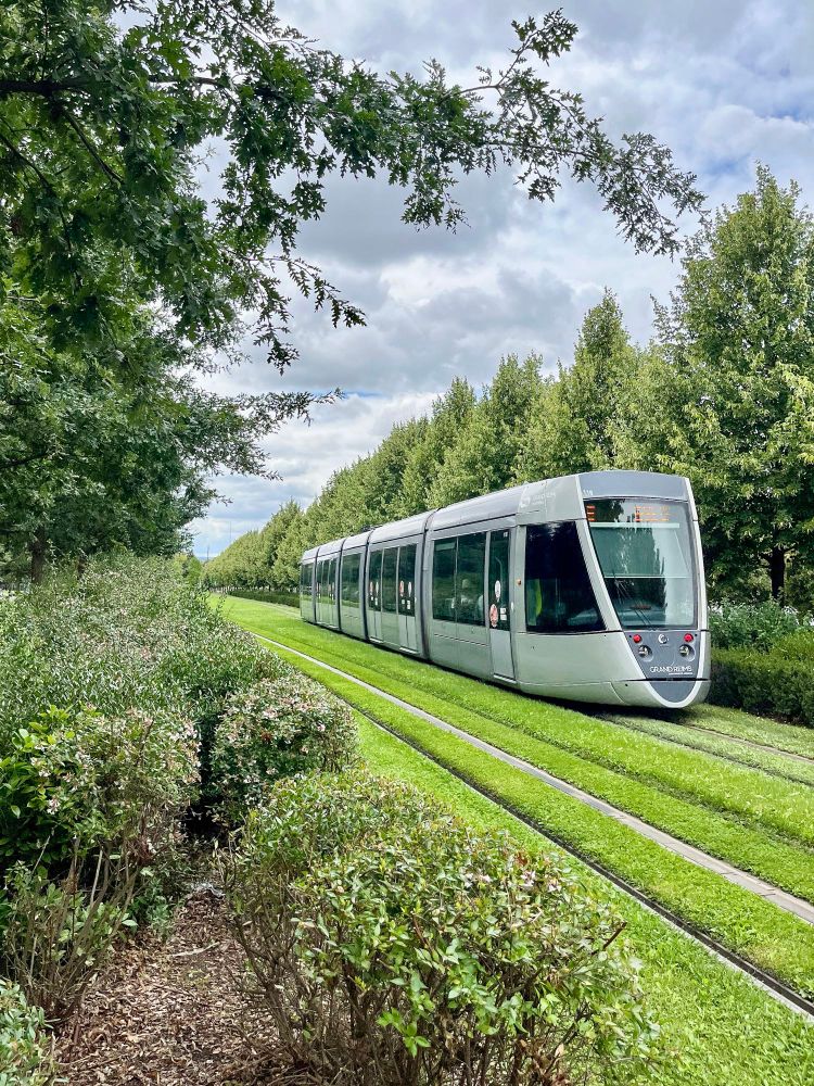 Various photos of colourful trams moving along grassy streets lined with trees and vegetation in Reims, France.