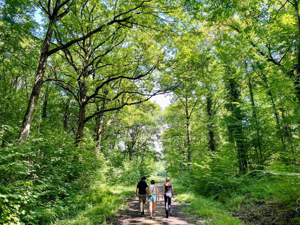 Photos from a train-accessed hike in the forests, wetlands, and hillsides of Montagne de Reims Regional Natural Park.
