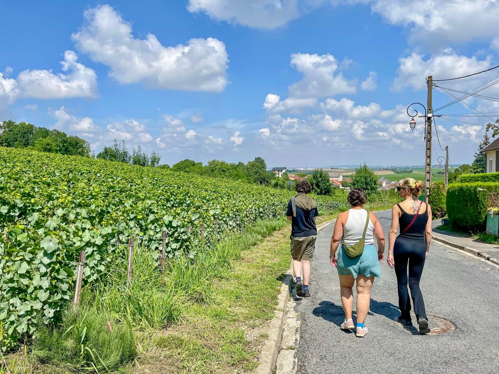 Photos from a train-accessed hike in the forests, wetlands, and hillsides of Montagne de Reims Regional Natural Park.