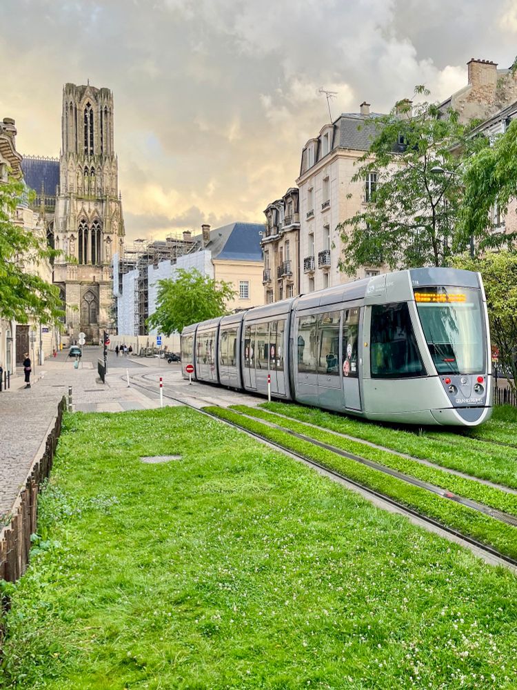 Various photos of colourful trams moving along grassy streets lined with trees and vegetation in Reims, France.