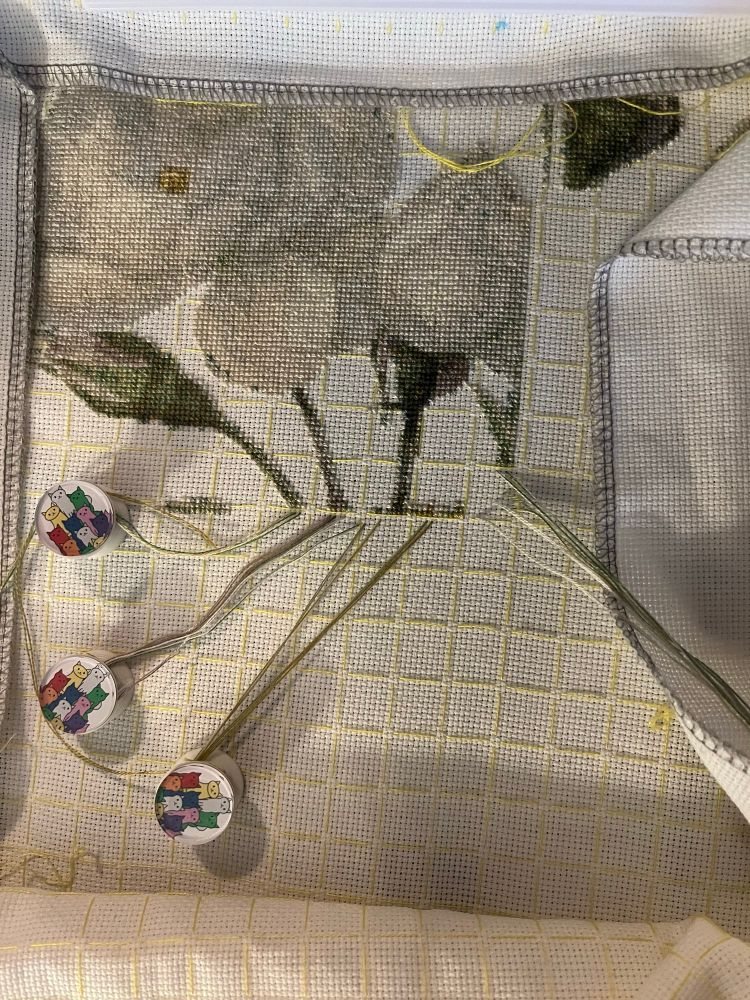 Cross stitch on white fabric. The picture shows white roses.