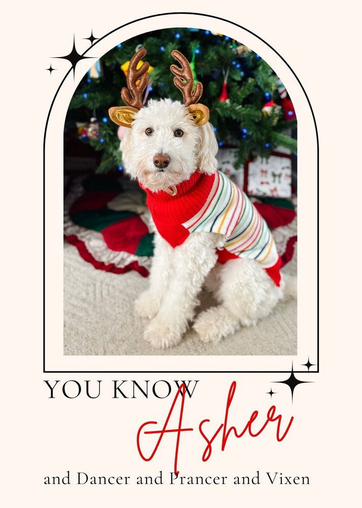 A cream colored digital Christmas card that features a photo of my dog, a white Aussiedoodle named Asher. He is sitting in front of our Christmas tree wearing a multi colored striped sweater and sparkly reindeer ears/antlers. The photo is an arched design with little sparkle icons in the corners. The text at the bottom says “you know Asher and Dancer and Prancer and Vixen” 