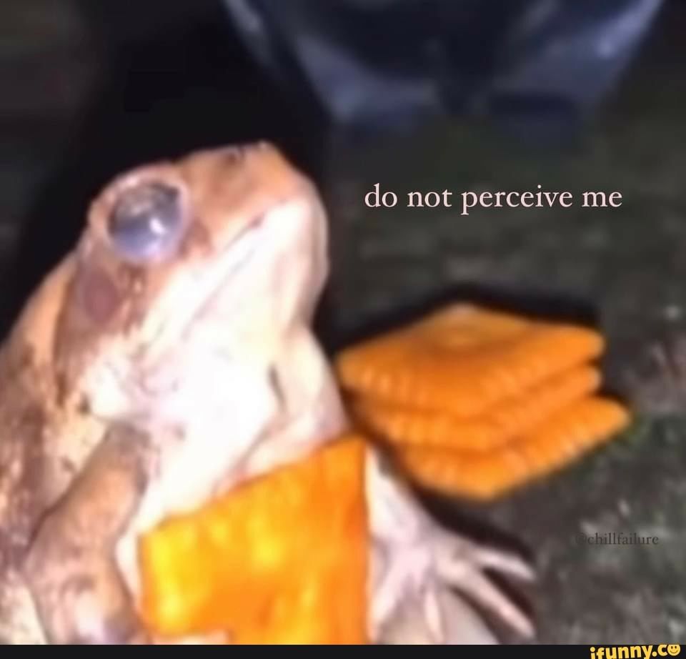 A toad holding a cheez-it and gazing pensively into the night sky, with the caption, “do not perceive me.” There’s a stack of three more cheez-it crackers beside it. 