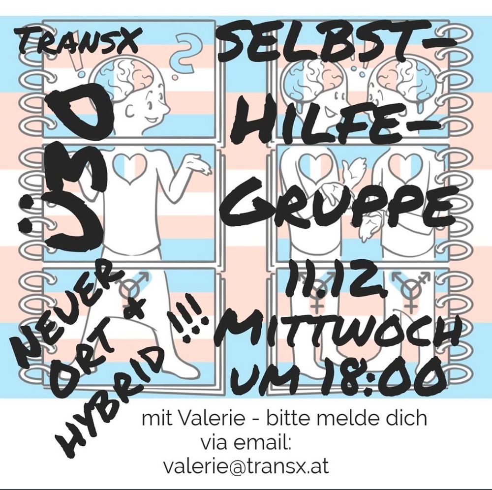 Die Informationen des Postingtexts als Poster, im Hintergrund stilisierte ungeschlechtete Personen, die sich unterhalten und Antworten geben, dazu die Farben der trans Pride Flagge