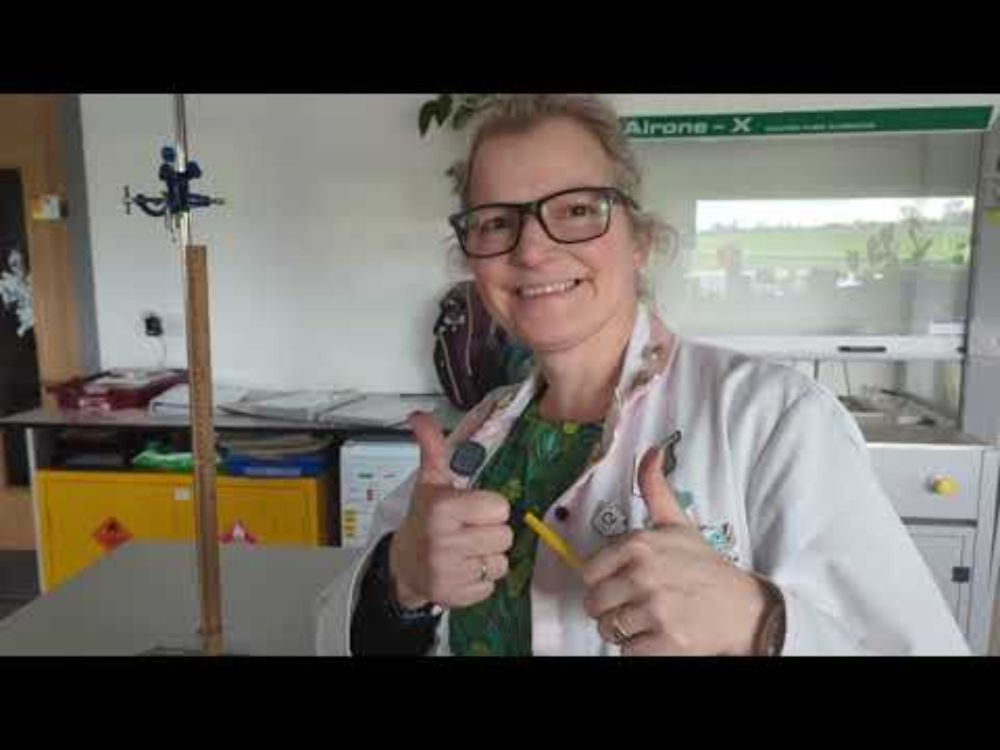 How To Demonstrate Hooke's Law | LaBLiFe