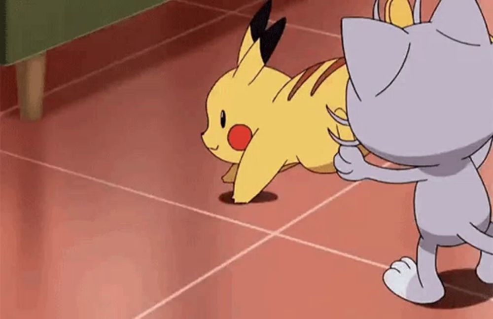 Pokemon Anime GIF