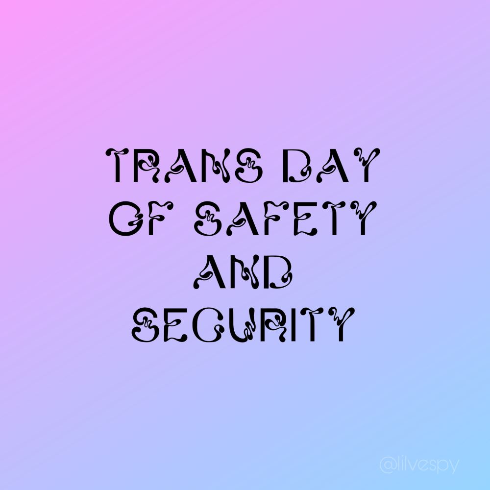 pink and blue gradient with black text that reads "TRANS DAY OF SAFETY AND SECURITY"