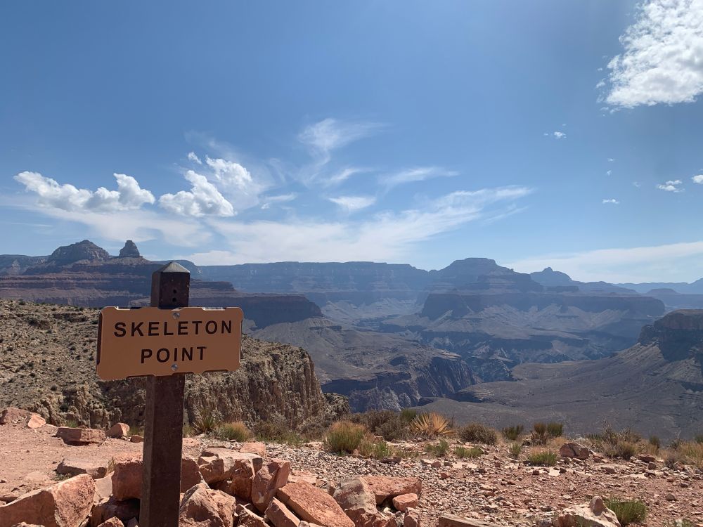 View of the Grand Canyon from inside the canyon. In the foreground is a wooden sign reading “skeleton point”
