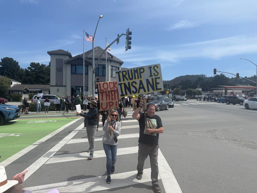 Signs at anti-Trump and Musk protest in Half Moon Bay, CA reading ""lock Them Up" and "Trump is Insane."
