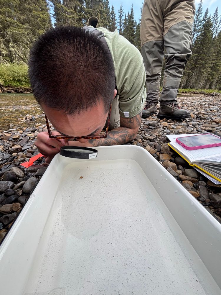 Student appears through a magnifying glass at small bugs in a white tray filled with water