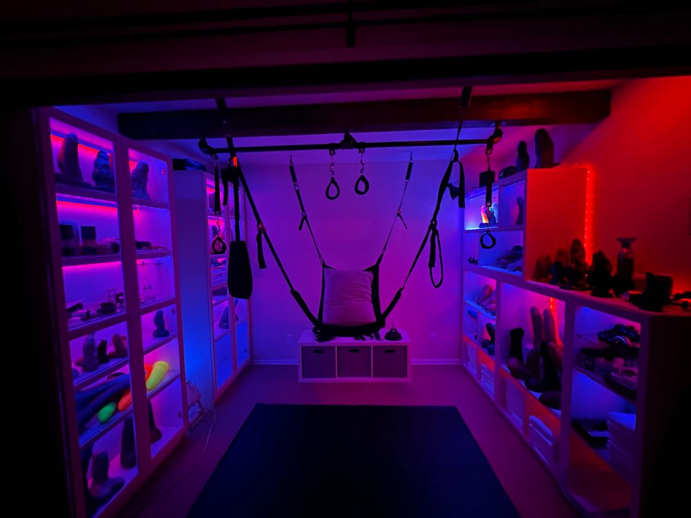 A pic of an adult sex space illuminated with red and blue lighting. Shelf lined walls filled with sex toys. And a sex sling and restraints hanging from the ceiling. 