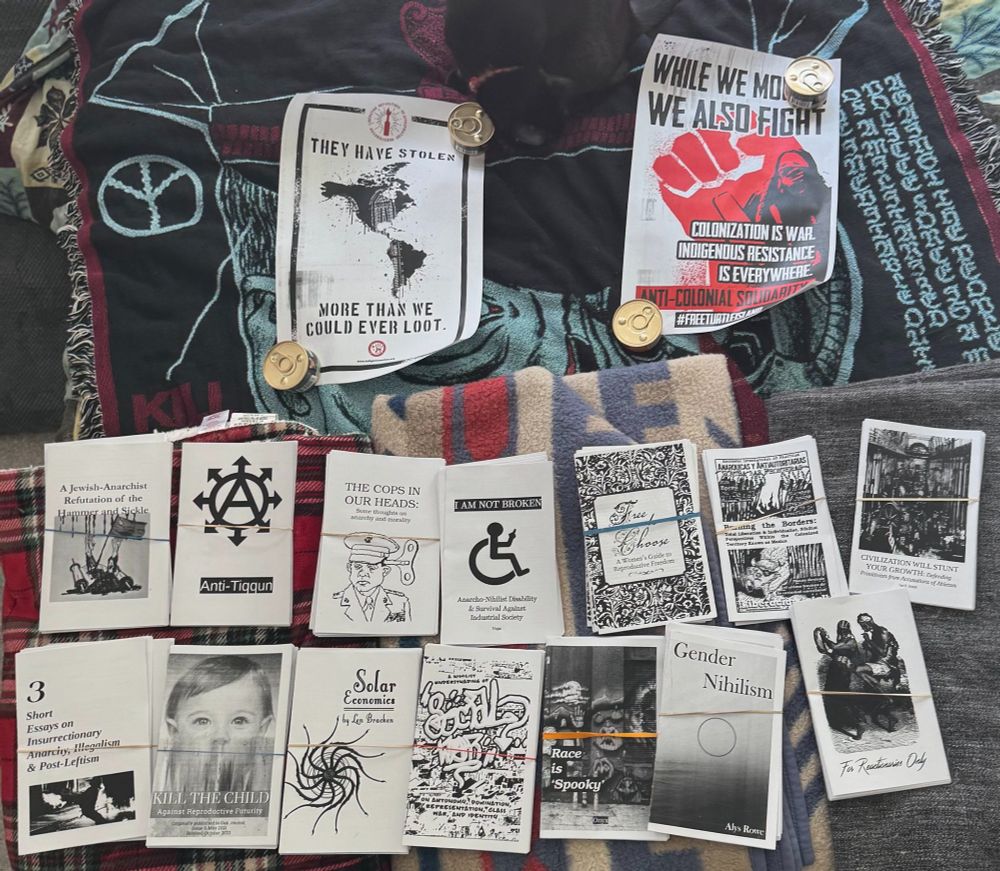 Collection of nihilist anarchy and gender nihilist zines with plenty of others. Two anti colonial posters at the top of the spread.
