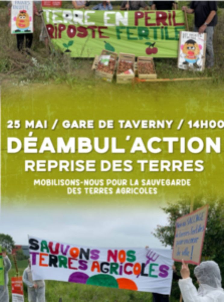 Déambul’action à Taverny