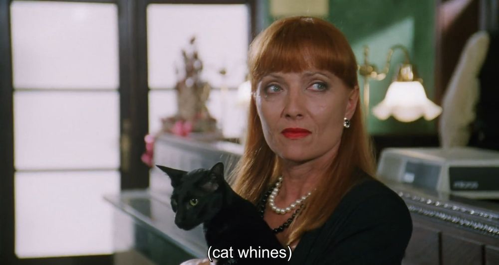 A redheaded woman holds a black cat. Subtitle: cat whines.