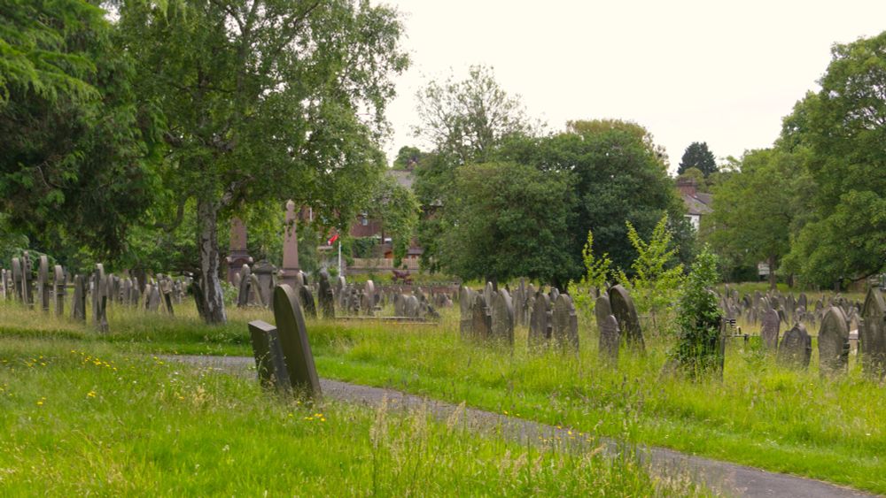 A photograph of a graveyard. There is a narrow paved path leading from the bottom left of the photograph to the middle left, where it meets a path cutting across the image. The background contains rows and rows of headstones interspersed with trees, there are a few taller obelisks and some splashes of colour from flowers, as well as a flag hanging from a pole. Beyond the furthest trees glimpses of houses lining the street past the cemetery can be seen.