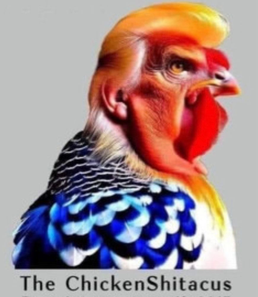 Comment image