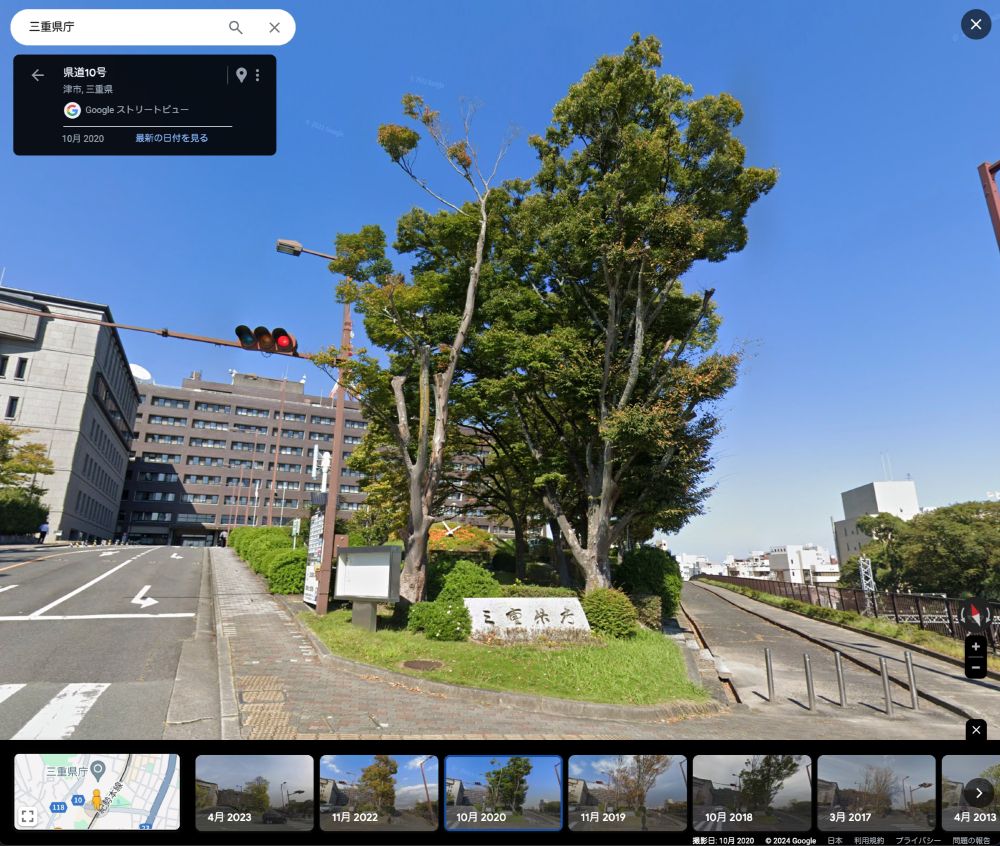 2020年三重県庁のケヤキ。左側のケヤキがほぼ枯死状態。