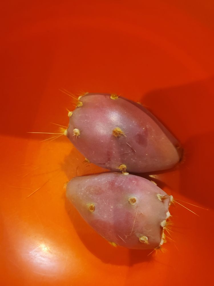 Two red prickly pear fruit in an orange bowl