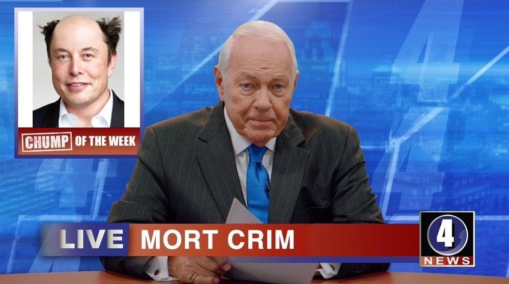 Mort Crim on the show Detroiters announcing his Chump of the Week, Elon Musk. Photo has Mort at his channel 4 news desk and on screen is a picture of Elon without his hair plugs. 