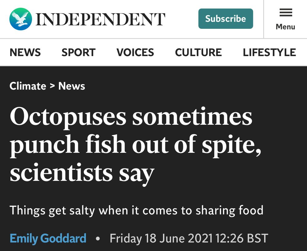“Octopuses sometimes punch fish out of spite, scientists say”