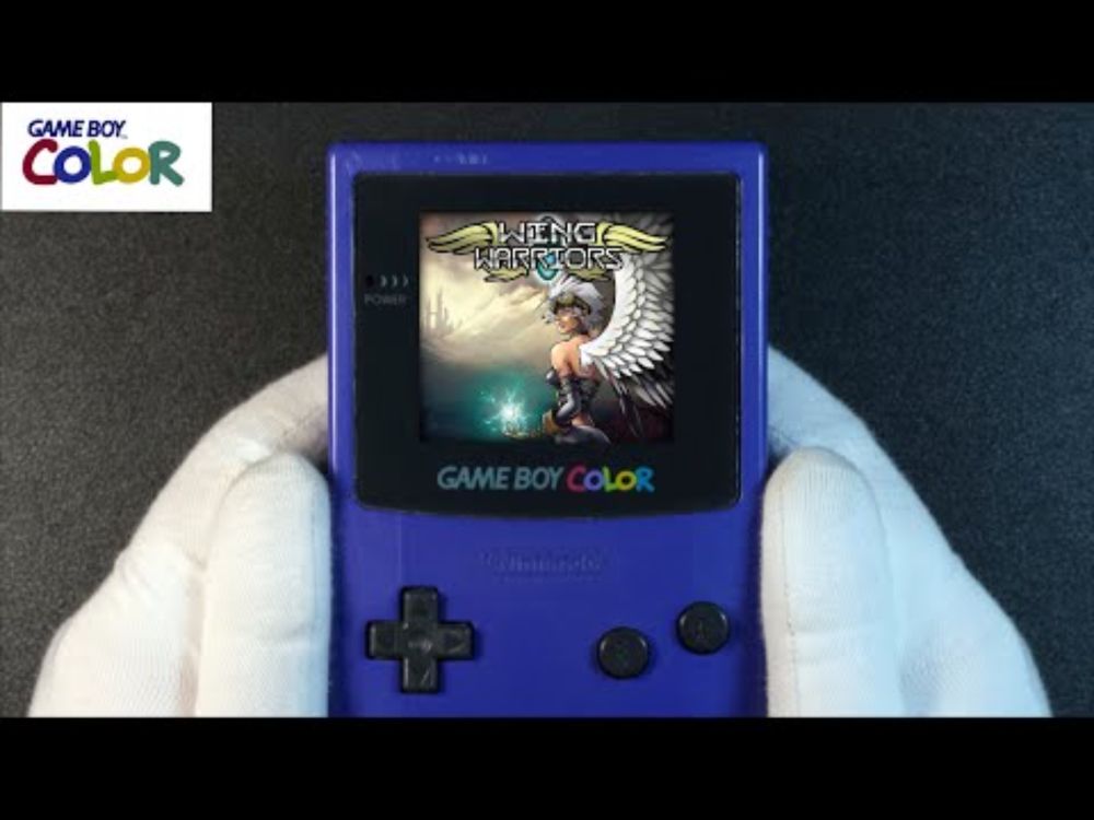 Wing Warriors Nintendo Game Boy Color Handheld Gameplay