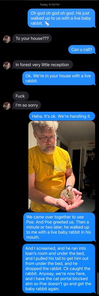 Today 9:09 PM
Oh god oh god oh god. He just walked up to us with a live baby rabbit.
-To your house???
Can u call?
-In forest very little reception
Ok. We're in your house with a live rabbit.
-Fuck
-I'm so sorry
Haha. It's ok. We're handling it.
We came over together to see Poe. And Poe greeted us. Then a minute or two later, he walked up to me with a live baby rabbit in his mouth.
And I screamed, and he ran into loan's room and under the bed, and I pulled his tail to get him out from under the bed, and he dropped the rabbit. Ck caught the rabbit. Anyway, we're now here, and I have the cat portal blocked atm so Poe doesn't go and get the baby rabbit again.