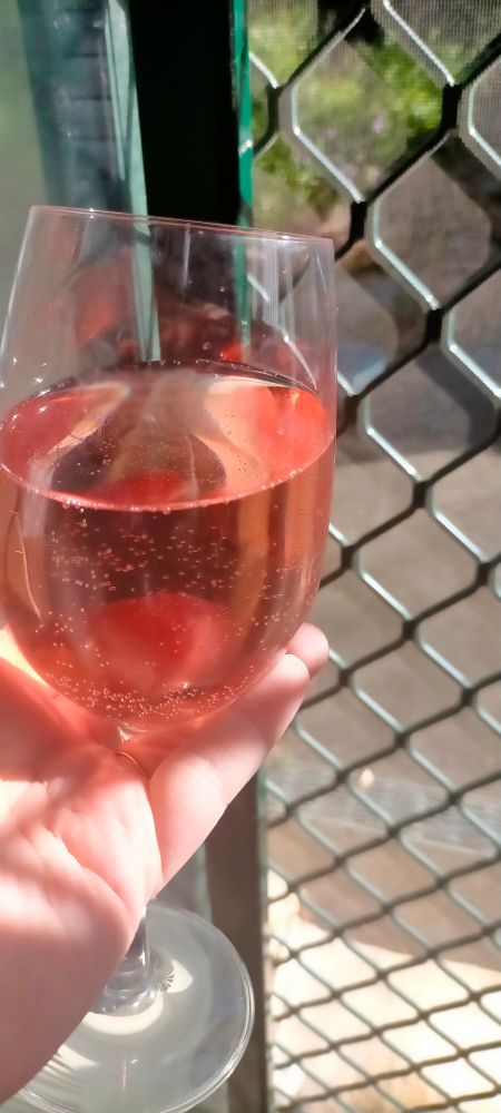 A photo of the Gossips Sweet Lips 2024 Pink Moscato in a glass.

I'm holding it up to a screen door, with the afternoon sunlight filtering in.
