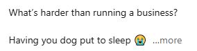 What’s harder than running a business?

Having your dog put to sleep 😭