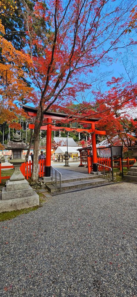 大原野神社
Oharano shirne,Kyoto 