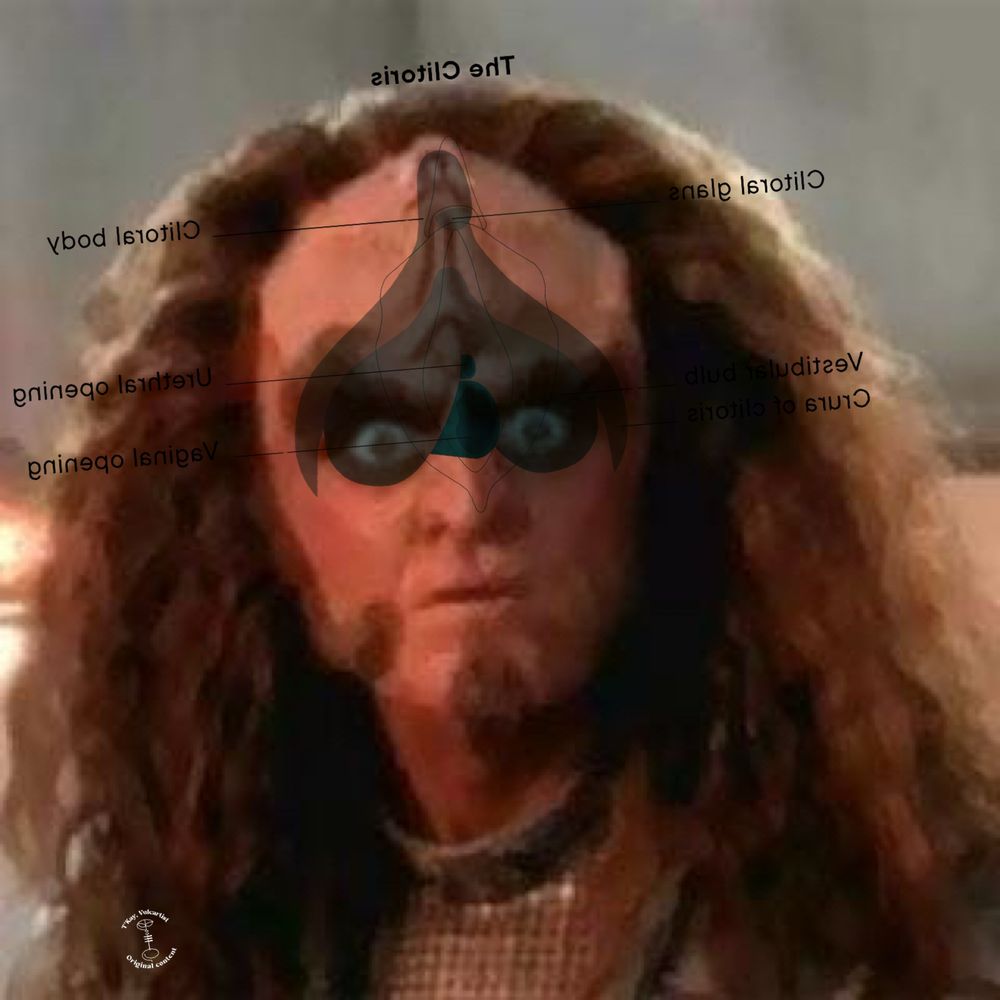 Gowron superimposed with an anatomical clitoris (his eyes are the bulbs and the head is part of his ridges)