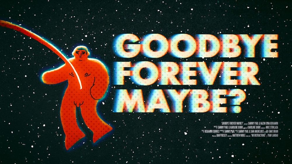 GOODBYE FOREVER MAYBE? (2024)
