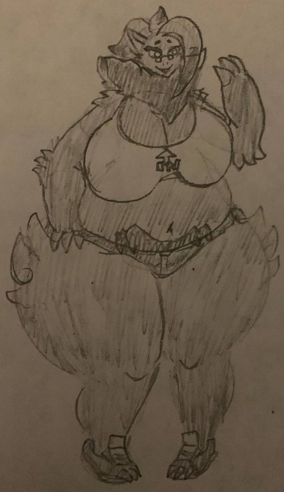zuzukas character zori the zoroark